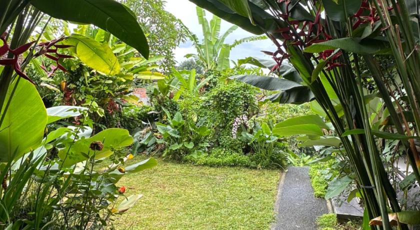 巴厘 Umah Belos 2星级 民宿 泳池