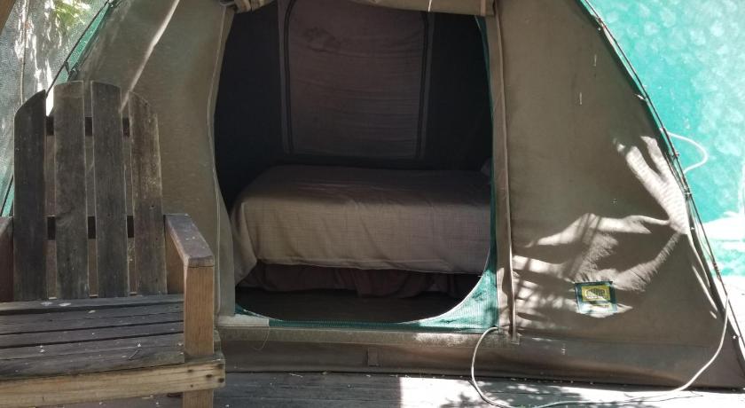 Image of Tent 11