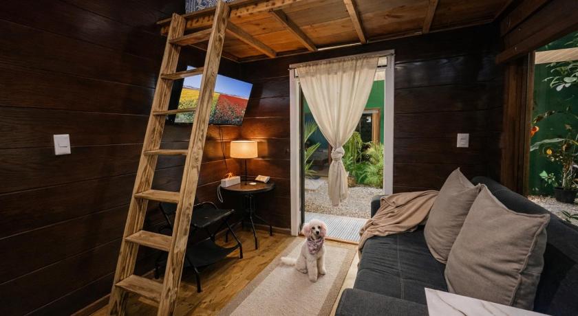 Image of Studio with Garden View 0