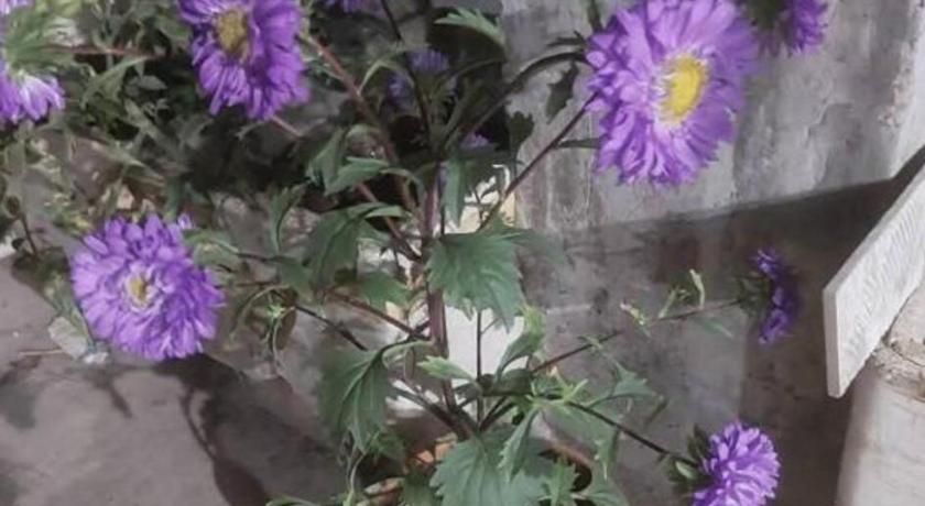 Agartala Prime Inn Guest House  2-Star Hotel view