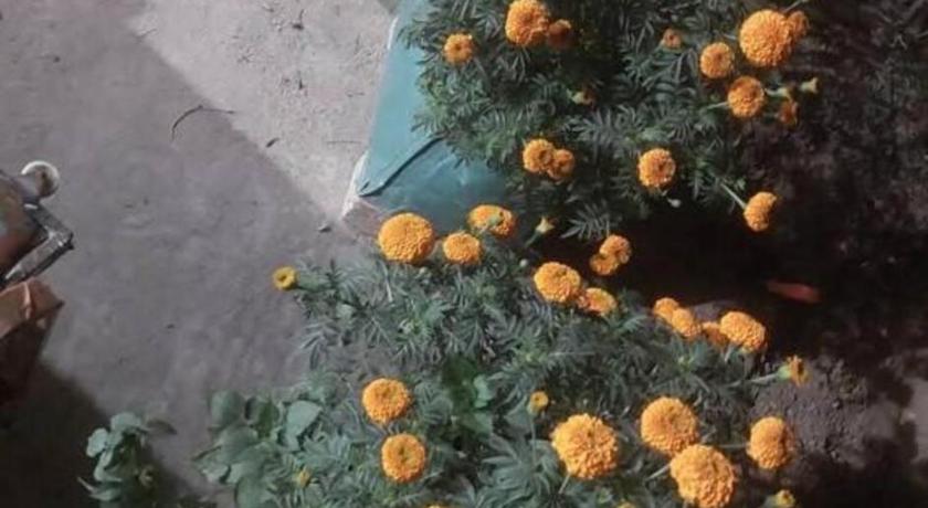 Agartala Prime Inn Guest House  2-Star Hotel room