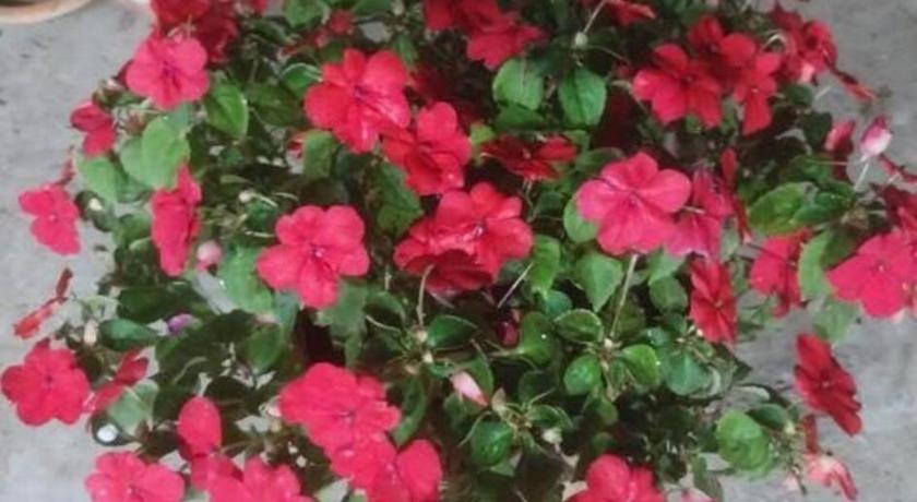 Agartala Prime Inn Guest House  2-Star Hotel lobby