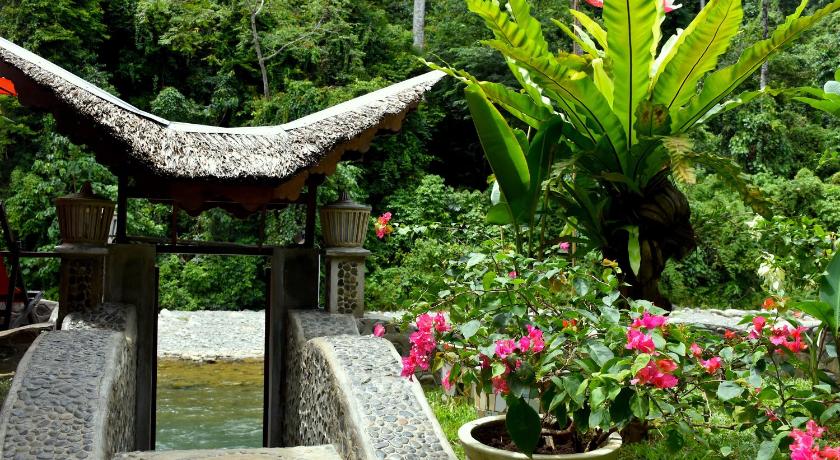 EcoTravel Cottages Bukit Lawang photo
