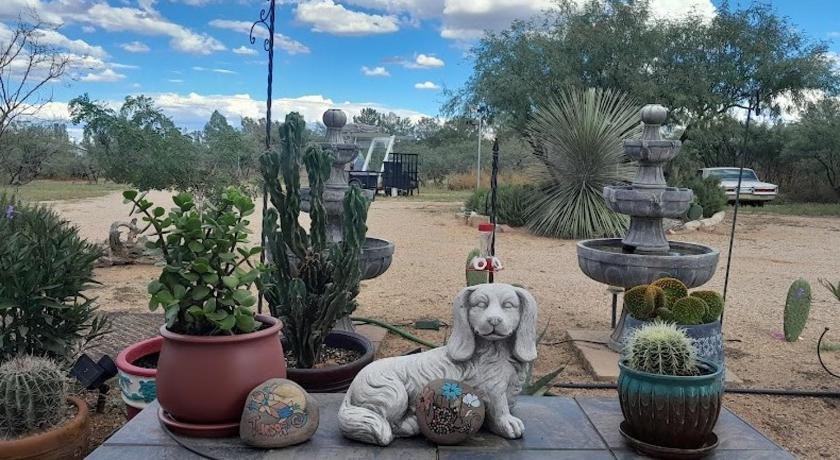 시에라 비스타 (AZ) La Donna Lane Ranch Bed and Breakfast 숙소 외관