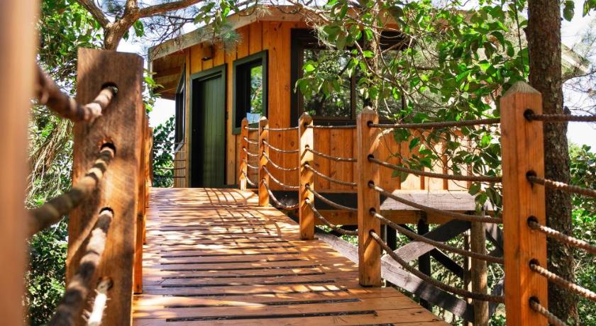 The Grand Forest Jarabacoa