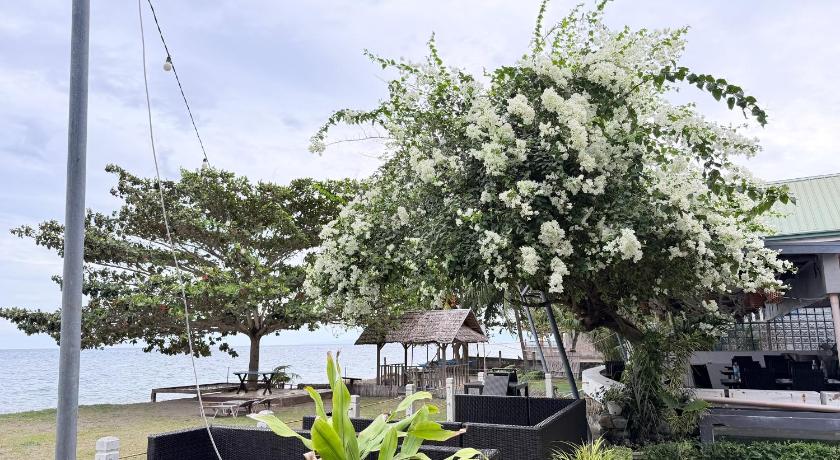 Seaview Beach Resort Dumaguete Beachfront - image 29