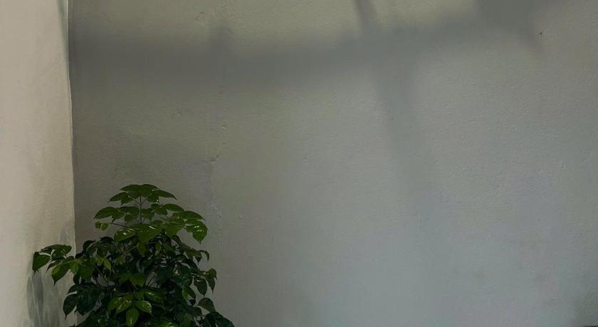 The Mountain Homestay & Cafe - image 12
