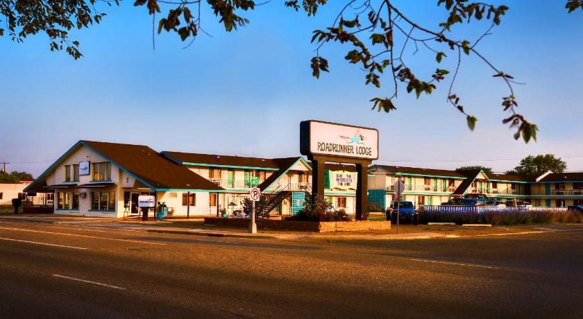 투컴캐리 (NM) Roadrunner Lodge Motel 숙소 수영장