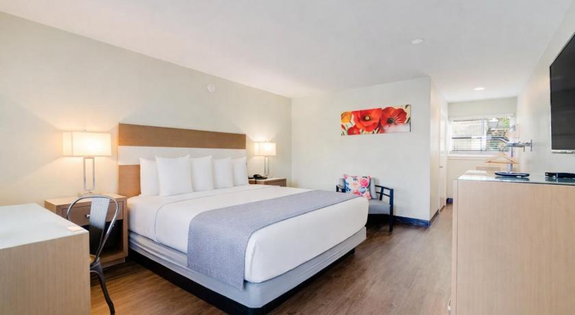 Image of King Room - Pet-Friendly 4