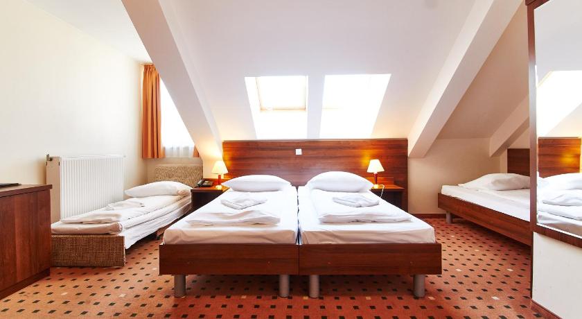 柏林 Hotel Europa City 3星级 酒店 泳池