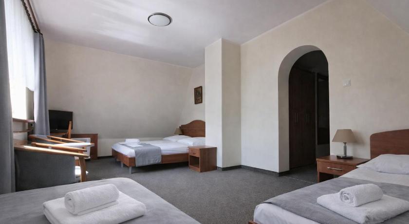 ザコパネ Willa Park 3つ星 ホテル プール