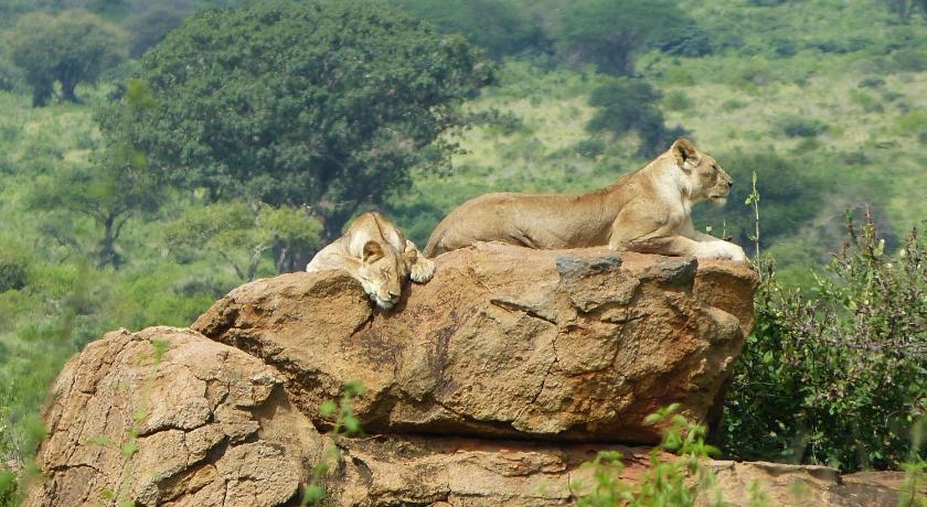 Tausa Tsavo Eco Lodge