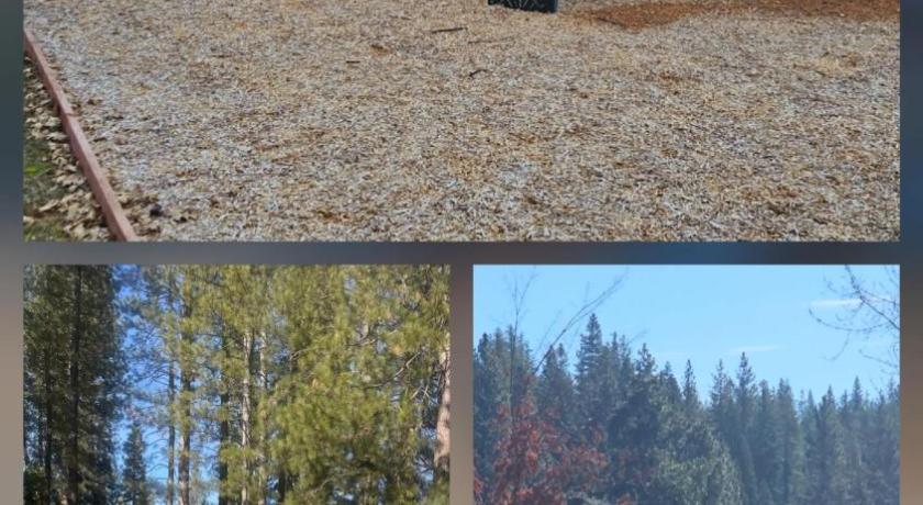롱반 The Cozy Knotty Pine Enchantment Retreat 4성급 숙소 외관