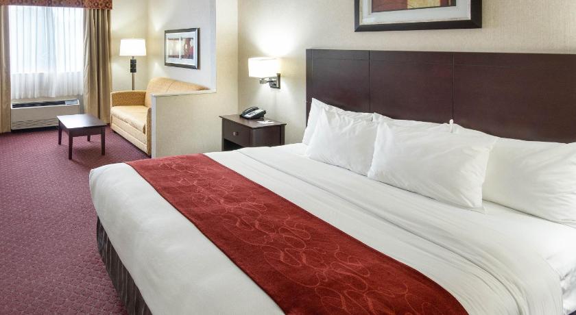 ミネラル・ウェルズ River Bluff Hotel and Conference Center 宿泊施設 スイート