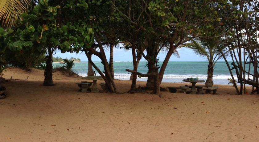 Beach Front Apartment Rio Mar Puerto Rico photo