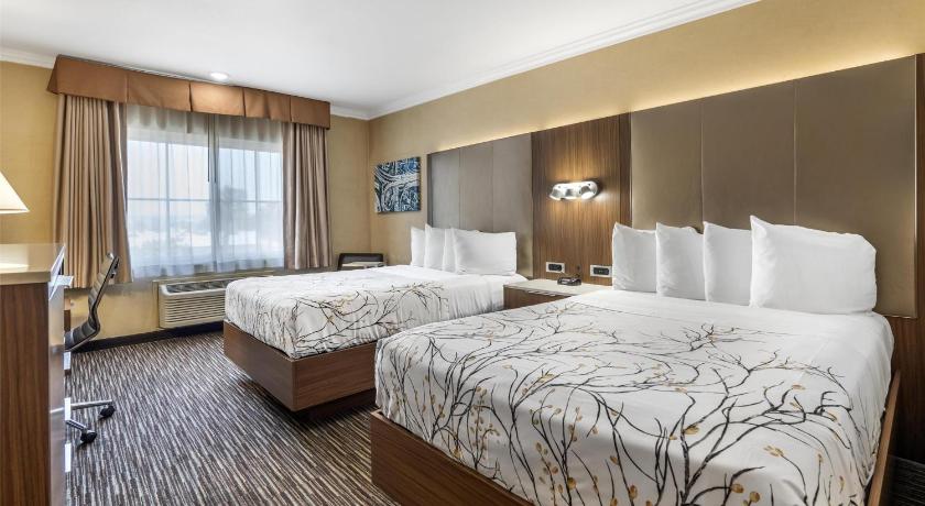 Image of 2 Double Beds, Smoking Room 0