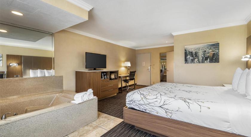 Image of 1 King Bed, Smoking Room, Wi-Fi, Continental Breakfast 5