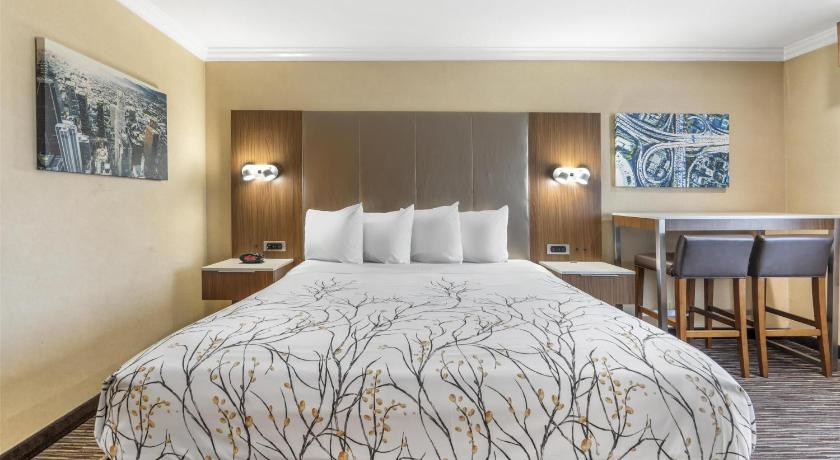 Image of 1 King Bed, Smoking Room, Wi-Fi, Continental Breakfast 7