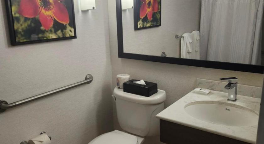 Image of 1 King Bed Accessible Room 2