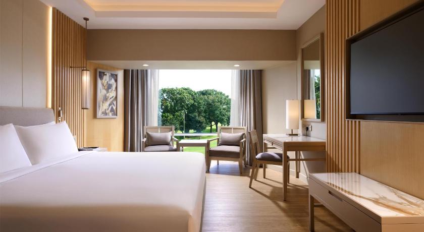 Image of King Guest Room 0