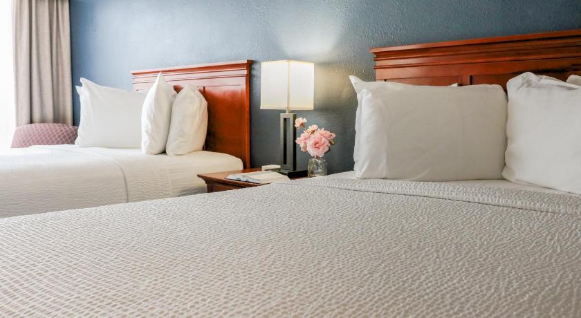 Image of Two Queen Beds 8
