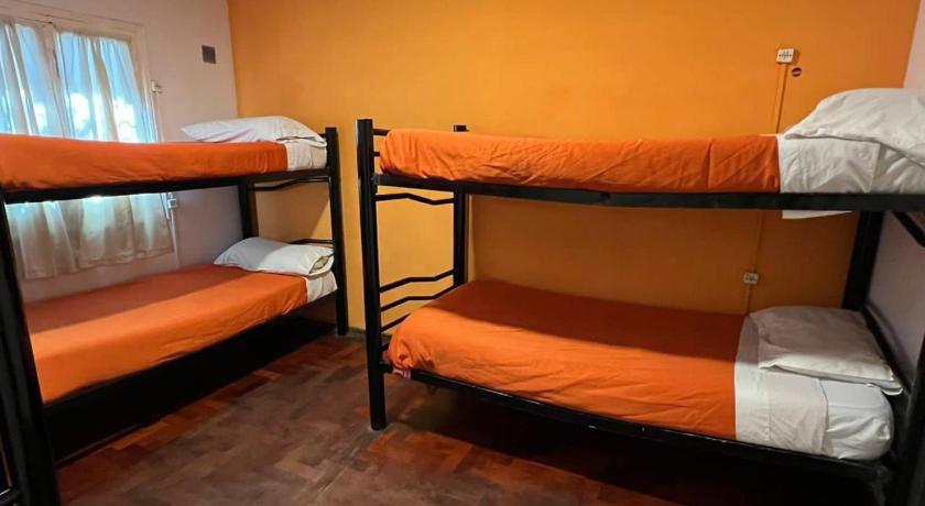 Image of Bed in 6-Bed Female Dormitory Room 0