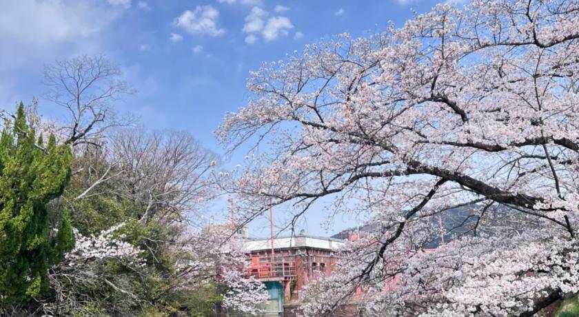 교토 七月軒 숙소 전망