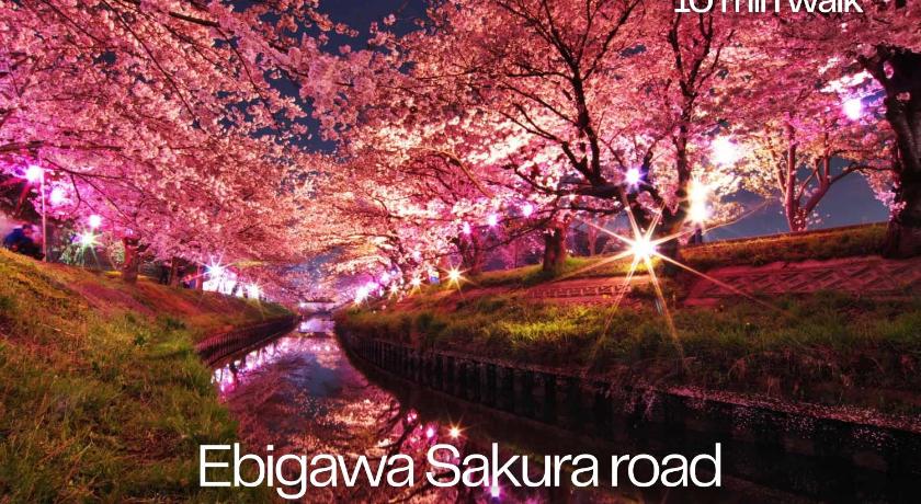 후나바시 suite Funabashi SAKURA2 #202 4성급 숙소 레스토랑