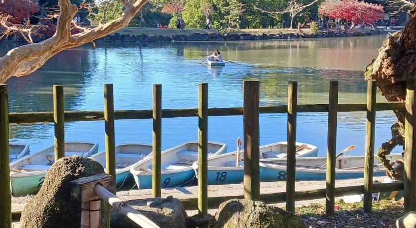 Nara Deer Path Stay Accommodation pool