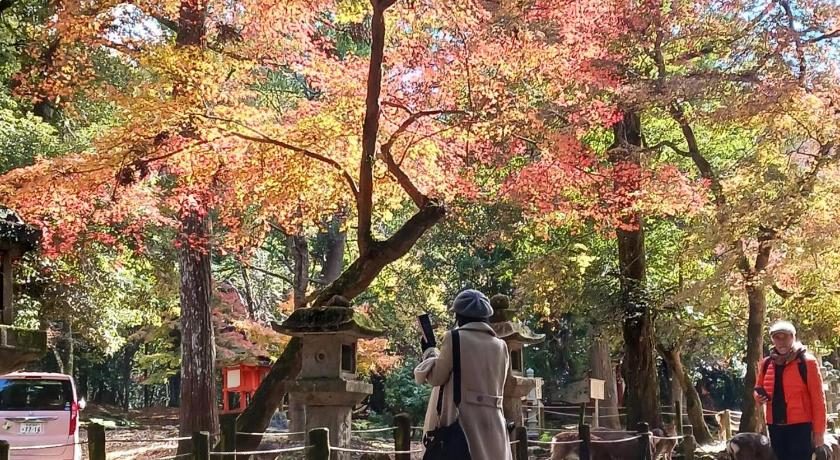 Nara Deer Path Stay Accommodation exterior