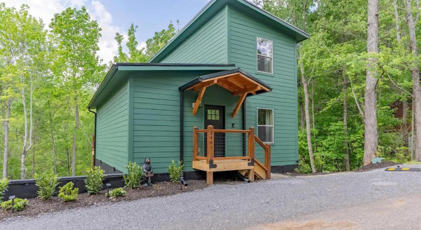 Zion Grove (TN) Green & Black Bear Cabins by Beyond Expectations 4-Star Accommodation room