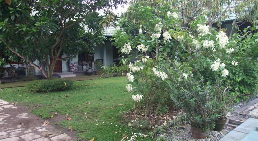 Rumah Sawah photo