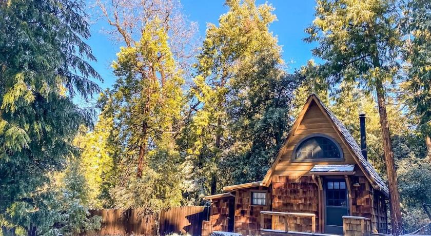 Wildland Zen Den Tiny House Retreat with Fireplace Grill AC Hammock Record Player Musical Instrument