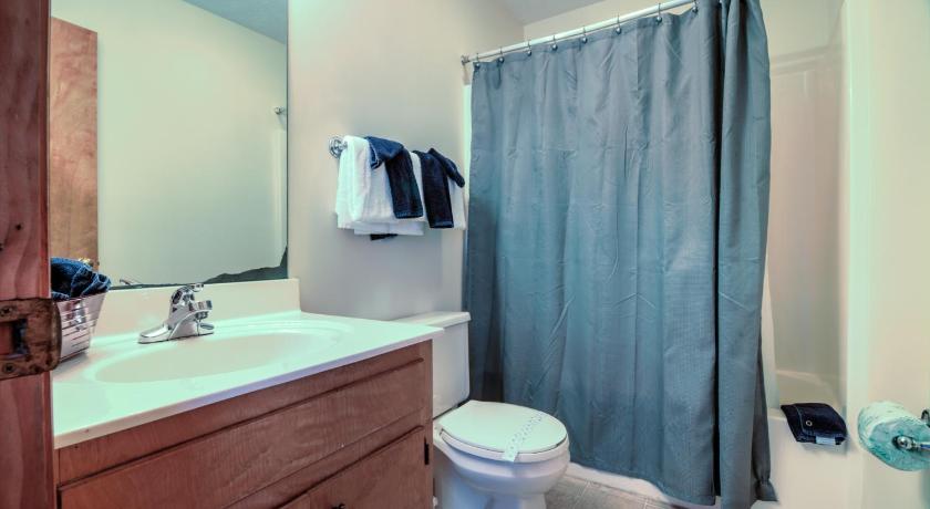 Bear Camp By The Night