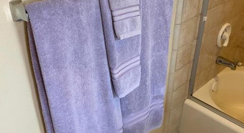 스쿠아 밸리 (CA) The Giant Forest Suite 4성급 숙소 전망