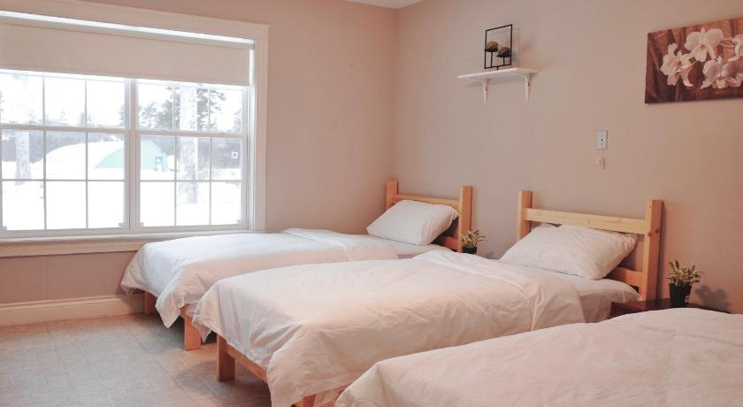 EcoSun Hostel