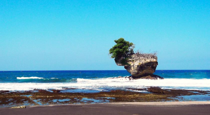 a large tree is standing on top of a beach, Ragha Homestay in Pangandaran