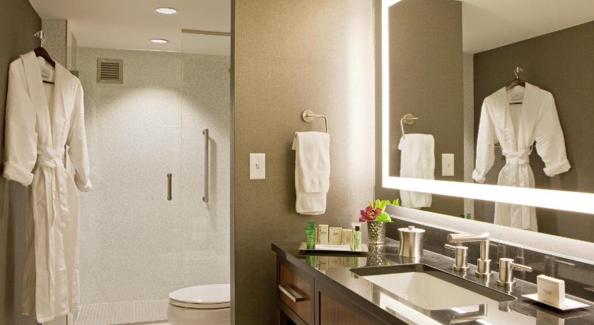 Image of 1 King 1 Bdrm Ste Executive Floor Park View 2
