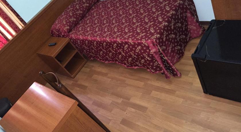 罗马 Hotel Gabriele 1星级 酒店 泳池