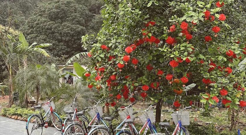Foresta Trang An - Ninh Binh Homestay - image 40