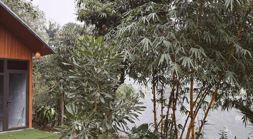Foresta Trang An - Ninh Binh Homestay - image 38