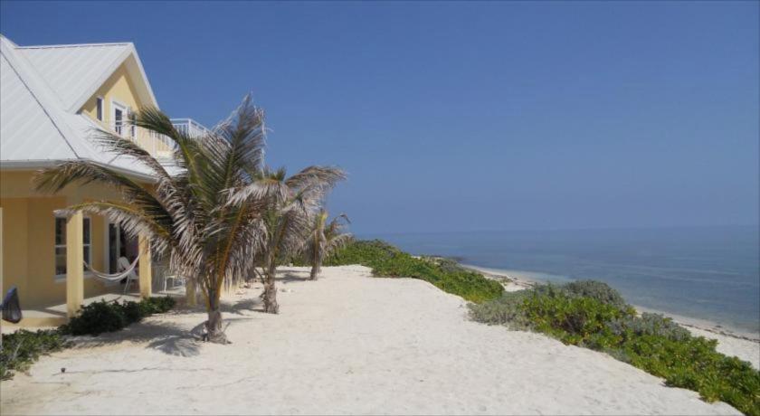 Ocean Paradise photo