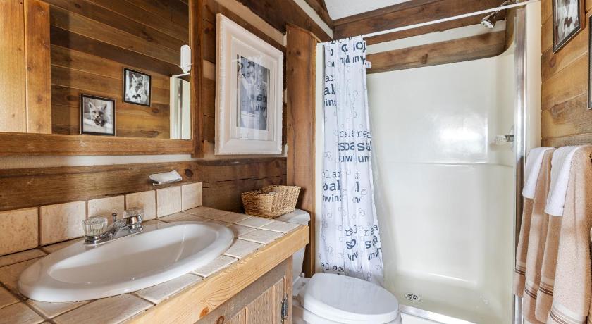 팬시 갭 (VA) Charming Blue Ridge Cabin with Jacuzzi and Mountain Views-Cabin 2 3성급 숙소 전망