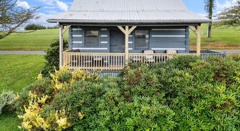 팬시 갭 (VA) Charming Blue Ridge Cabin with Jacuzzi and Mountain Views-Cabin 2 3성급 숙소 객실