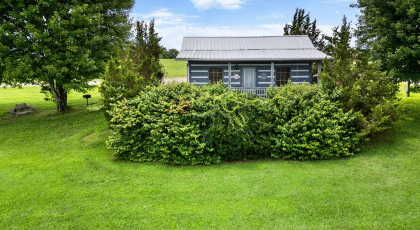 팬시 갭 (VA) Peaceful Pines Mountain Cabin with Jacuzzi and Views! Cabin 12 3성급 숙소 외관