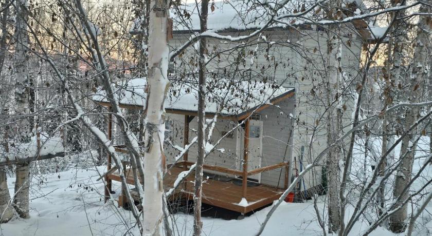 칼리지 (AK) Fairbanks Hillside Cabin with Northern Lights Views 4성급 숙소 부대시설