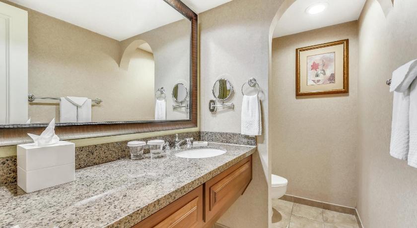 Image of SIGNATURE 1 KING 1 BEDROOM SUITE 5