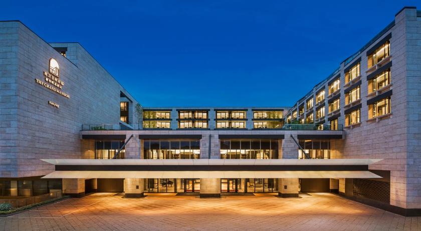 The Grand Mansion Hotel Nanjing - image 2