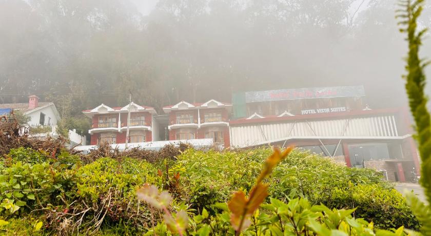 Vista Peak View Ooty - image 35