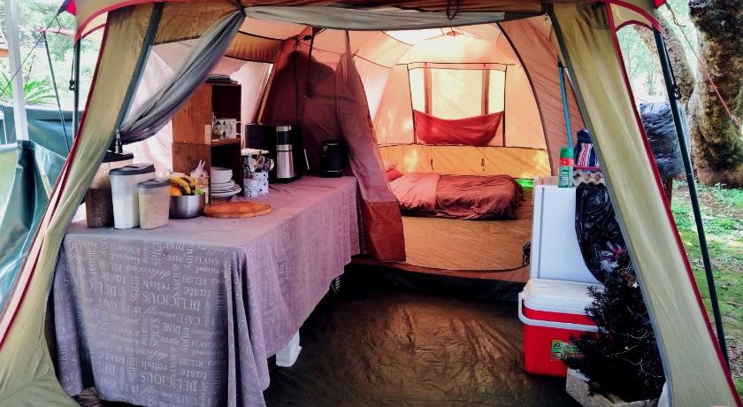 Image of Camping - bring own caravan/tent 0